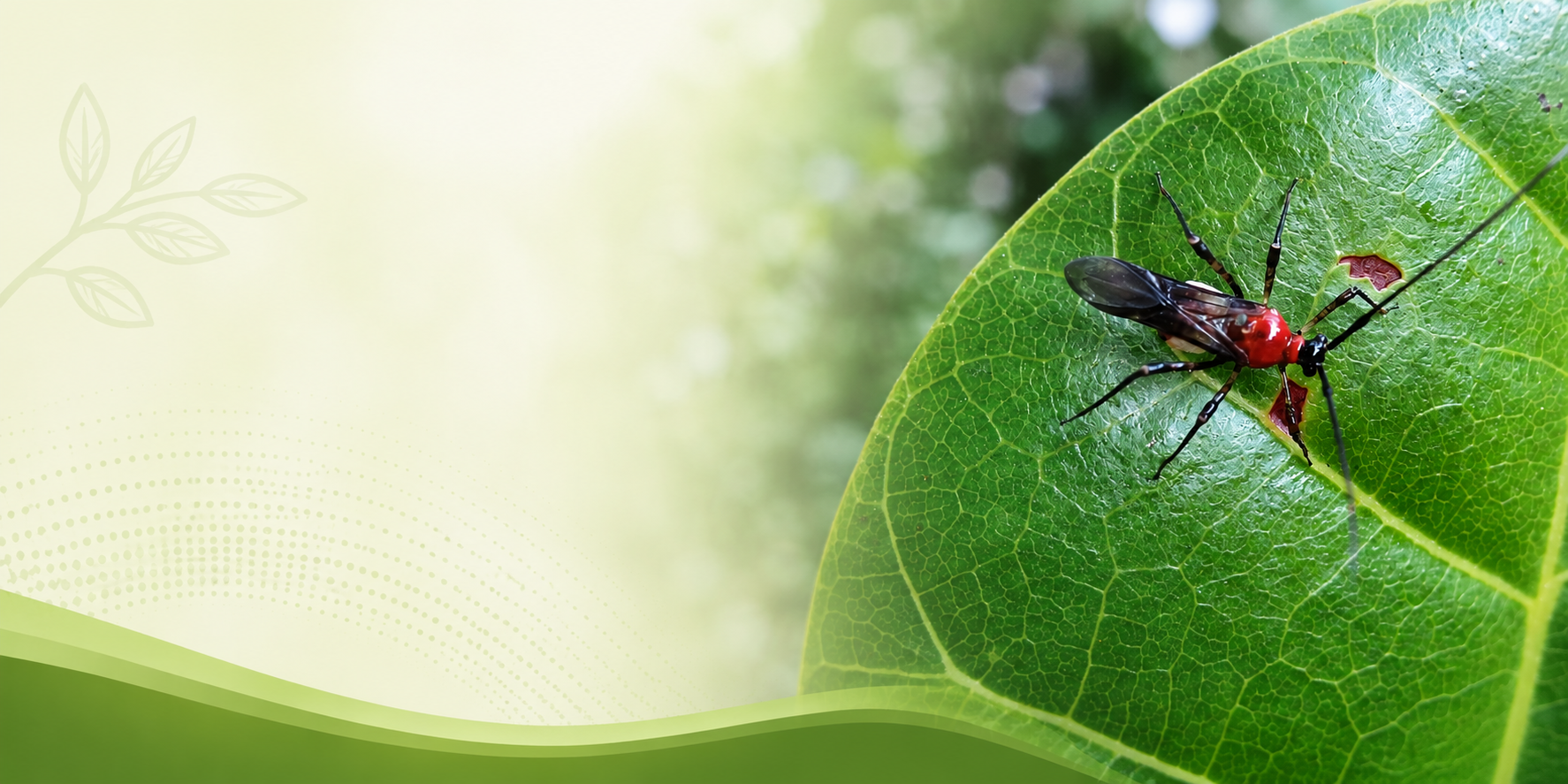 Scientist Banner