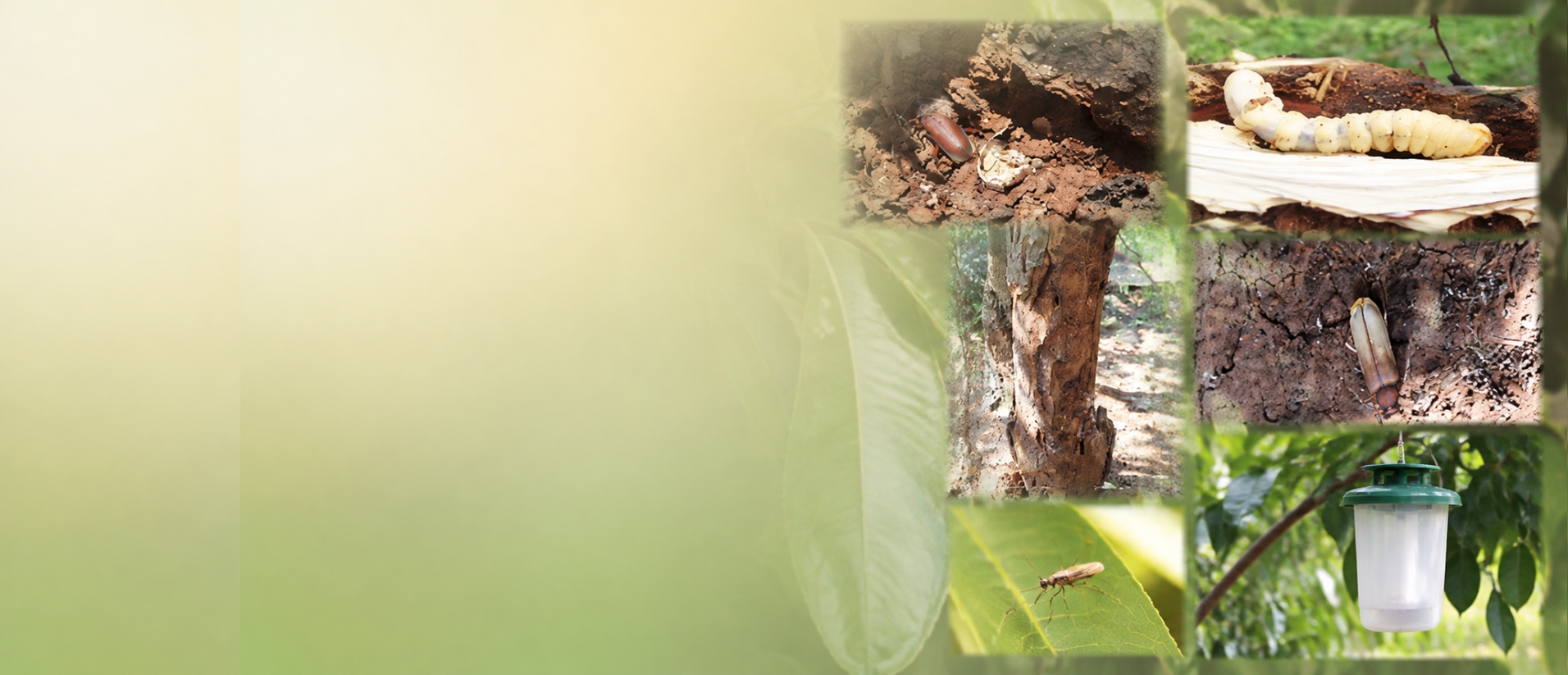 Scientist Banner